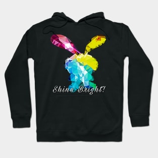 Shine Bright Like a Rainbow Bunny Hoodie